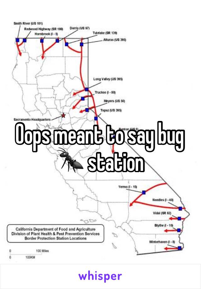 Oops meant to say bug 🐜 station 