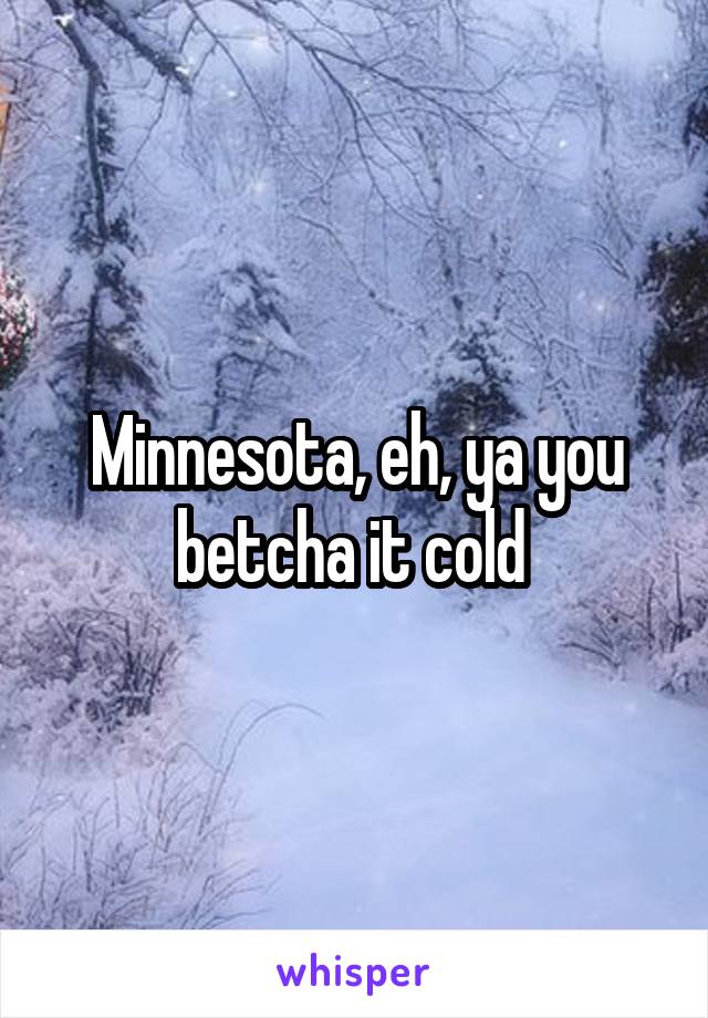 Minnesota, eh, ya you betcha it cold 