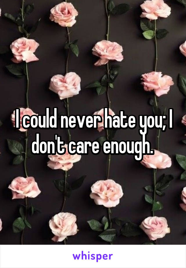 I could never hate you; I don't care enough. 