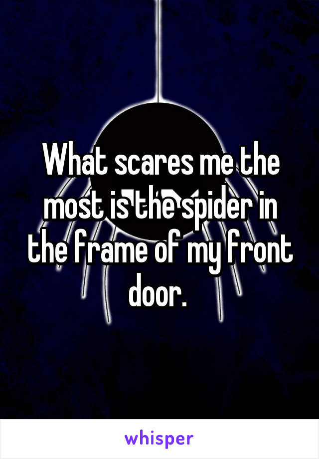 What scares me the most is the spider in the frame of my front door. 