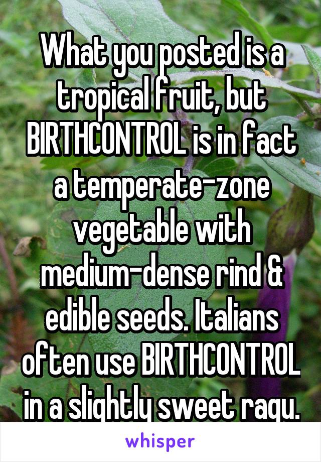 What you posted is a tropical fruit, but BIRTHCONTROL is in fact a temperate-zone vegetable with medium-dense rind & edible seeds. Italians often use BIRTHCONTROL in a slightly sweet ragu.