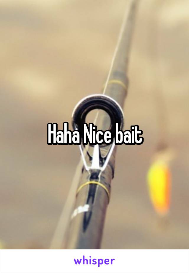 Haha Nice bait