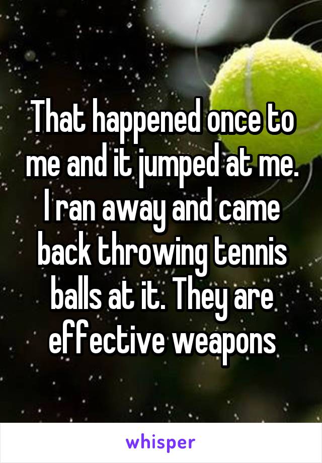 That happened once to me and it jumped at me. I ran away and came back throwing tennis balls at it. They are effective weapons