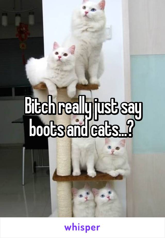 Bitch really just say boots and cats...? 