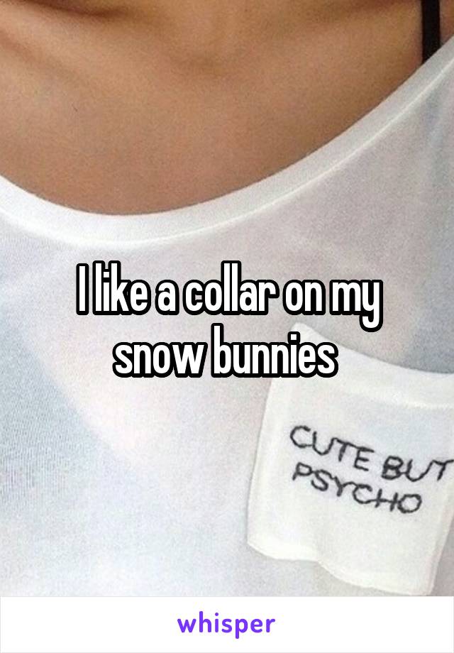 I like a collar on my snow bunnies 