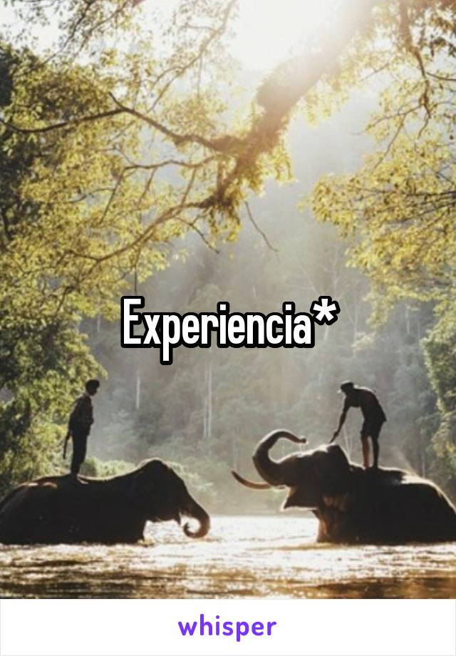 Experiencia*