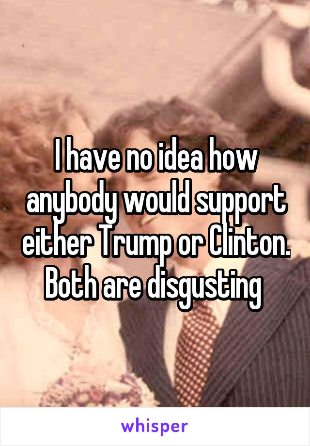 I have no idea how anybody would support either Trump or Clinton. Both are disgusting 