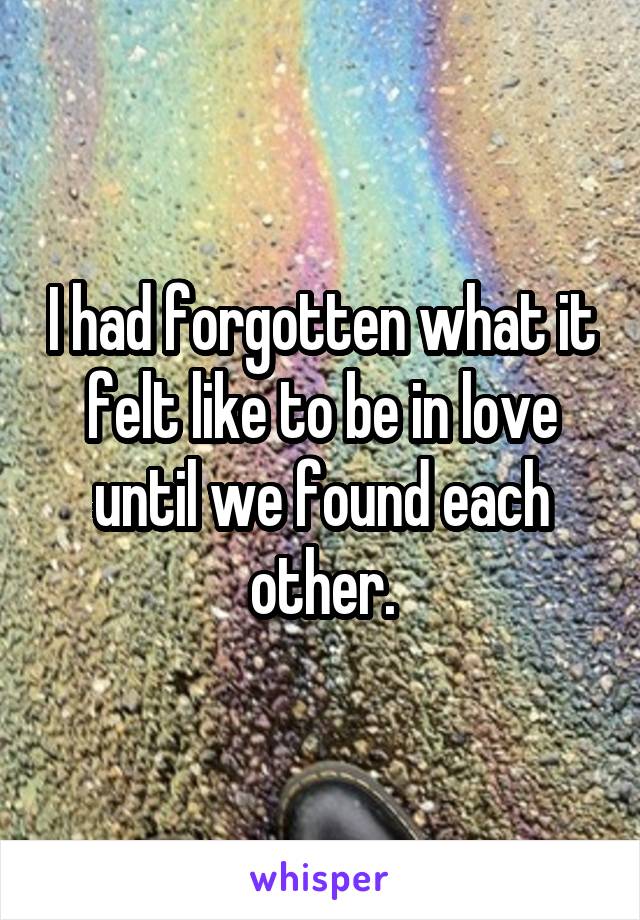 I had forgotten what it felt like to be in love until we found each other.