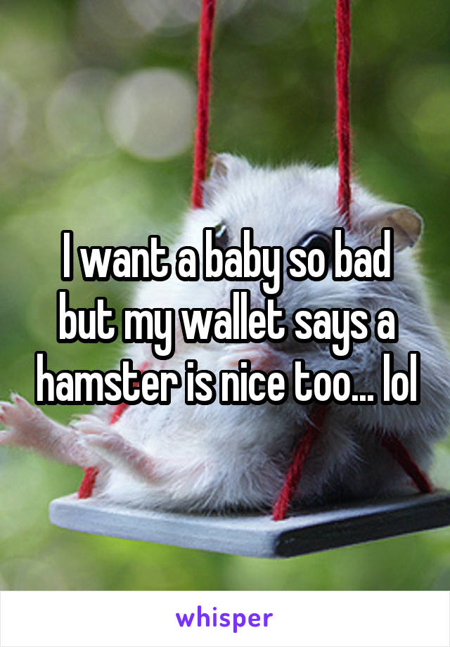 I want a baby so bad but my wallet says a hamster is nice too... lol