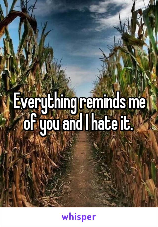 Everything reminds me of you and I hate it. 