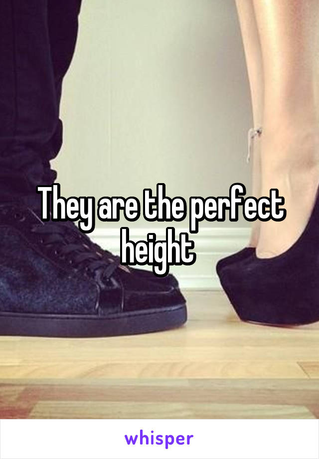 They are the perfect height 