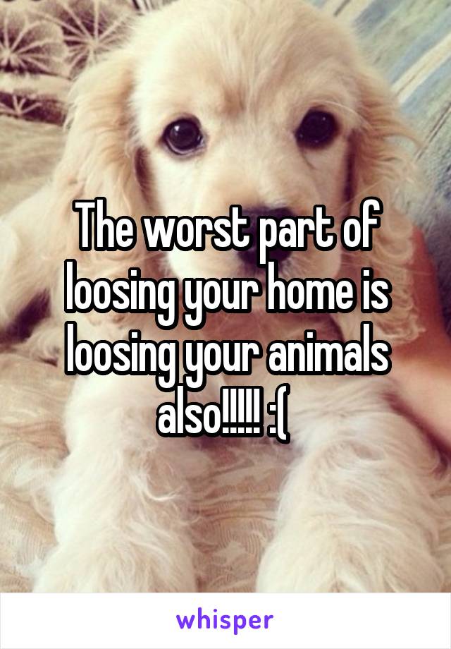 The worst part of loosing your home is loosing your animals also!!!!! :( 