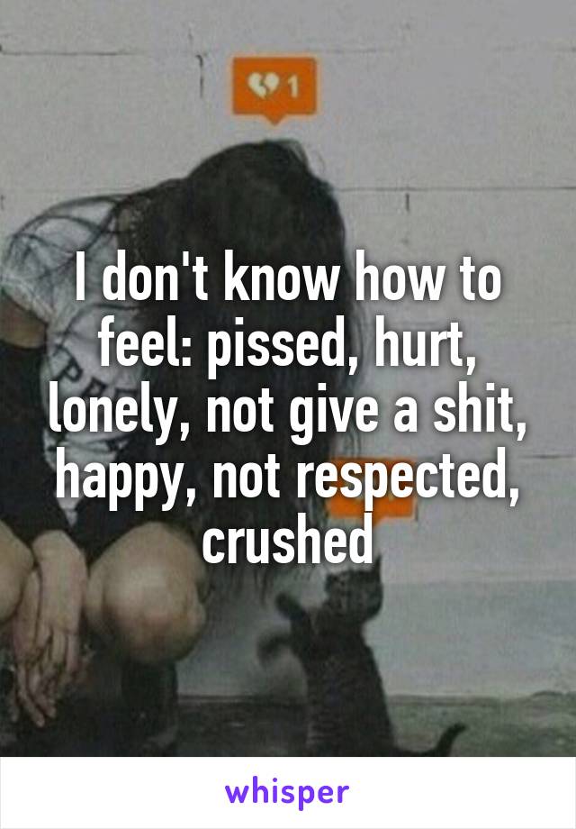 I don't know how to feel: pissed, hurt, lonely, not give a shit, happy, not respected, crushed