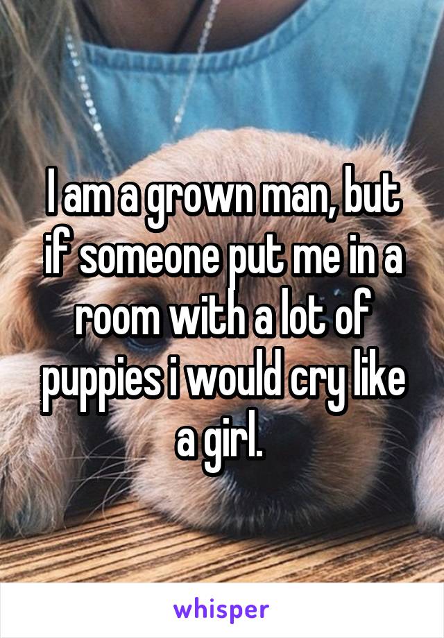 I am a grown man, but if someone put me in a room with a lot of puppies i would cry like a girl. 