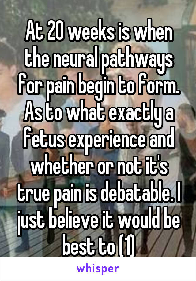 At 20 weeks is when the neural pathways for pain begin to form. As to what exactly a fetus experience and whether or not it's true pain is debatable. I just believe it would be best to (1)