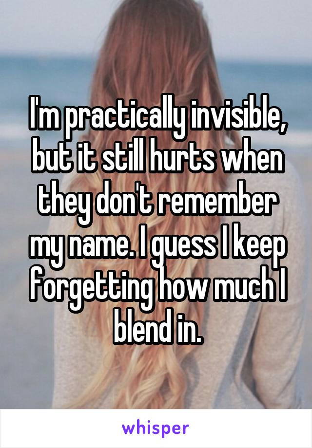 I'm practically invisible, but it still hurts when they don't remember my name. I guess I keep forgetting how much I blend in.