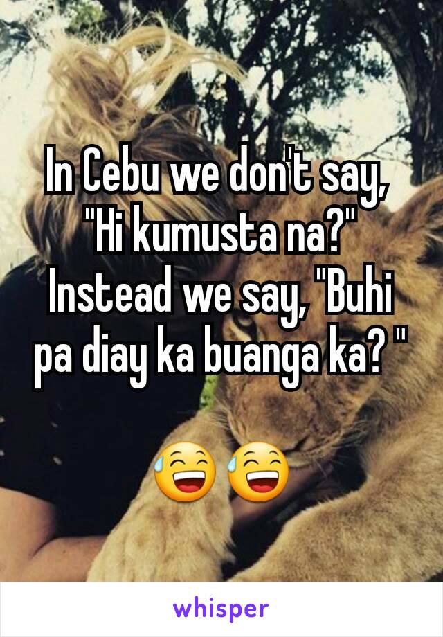 In Cebu we don't say, 
"Hi kumusta na?" Instead we say, "Buhi pa diay ka buanga ka? "

😅😅