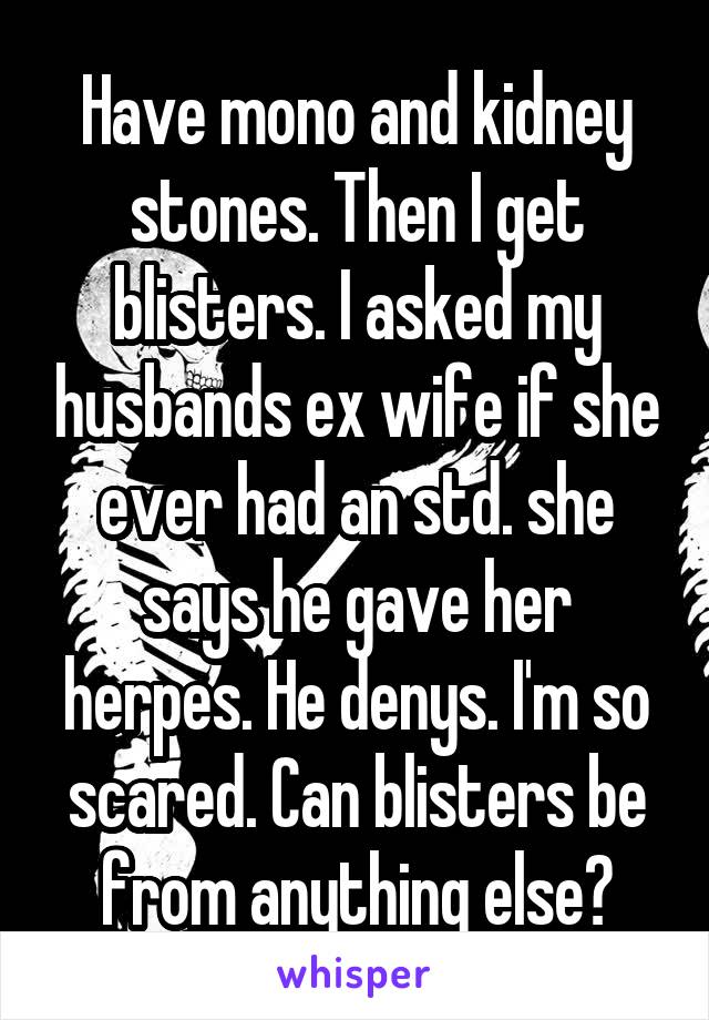 Have mono and kidney stones. Then I get blisters. I asked my husbands ex wife if she ever had an std. she says he gave her herpes. He denys. I'm so scared. Can blisters be from anything else?