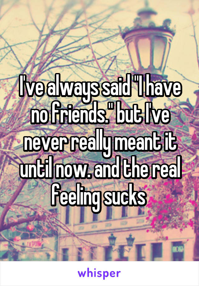 I've always said "I have no friends." but I've never really meant it until now. and the real feeling sucks 