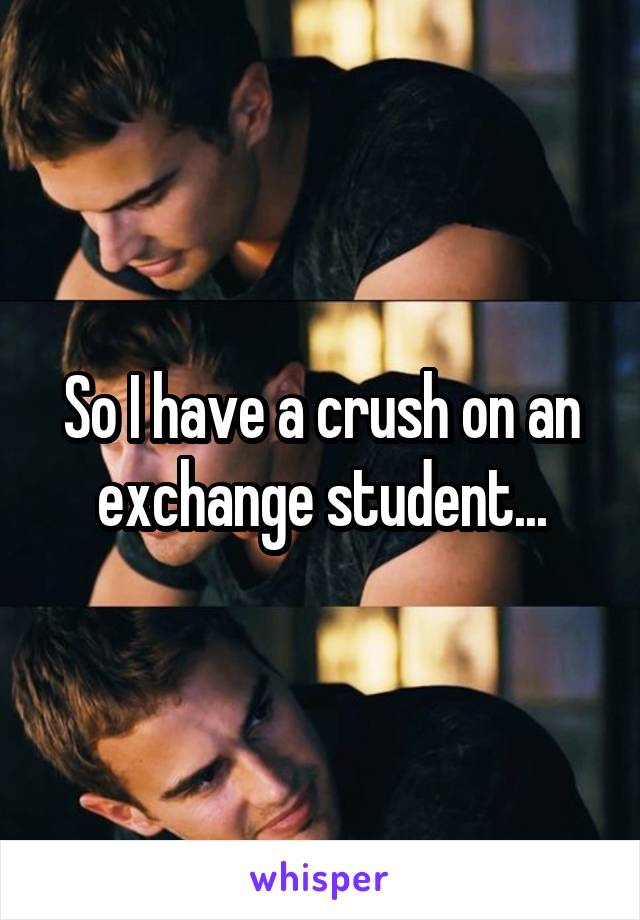 So I have a crush on an exchange student...