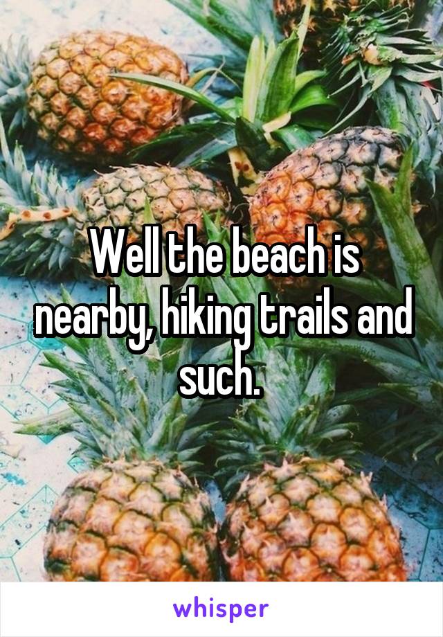Well the beach is nearby, hiking trails and such. 