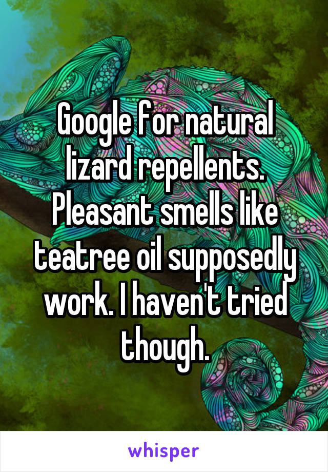 Google for natural lizard repellents. Pleasant smells like teatree oil supposedly work. I haven't tried though.