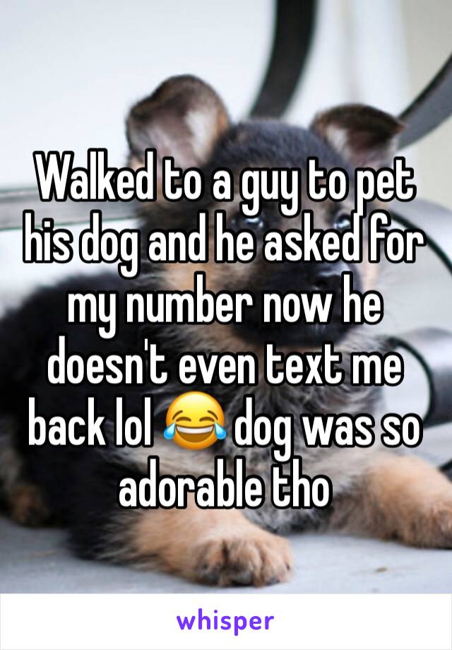 Walked to a guy to pet his dog and he asked for my number now he doesn't even text me back lol 😂 dog was so adorable tho 