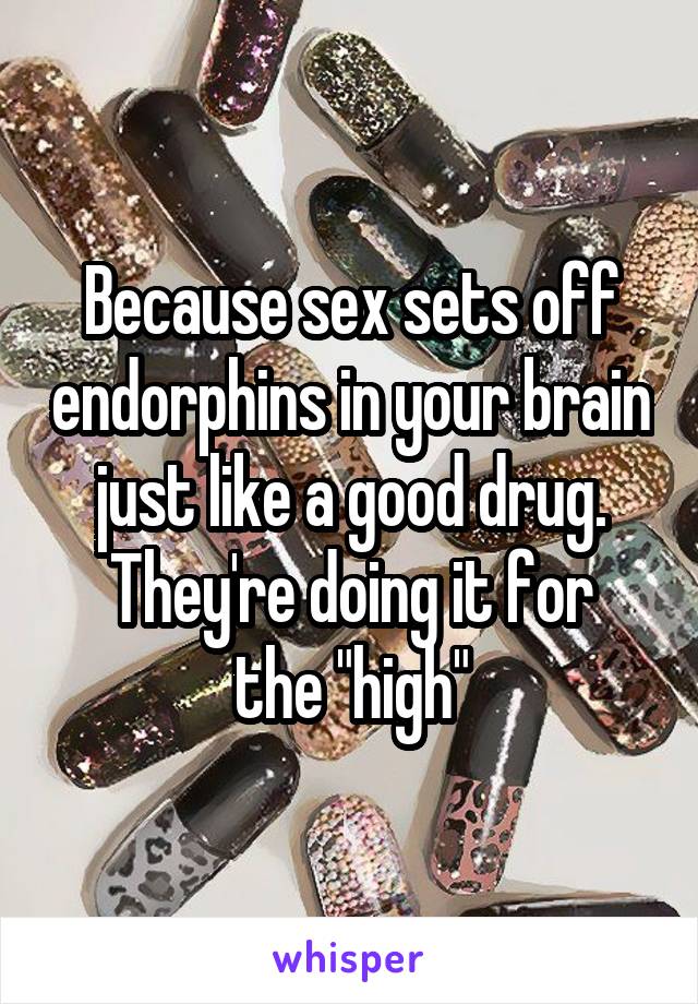 Because sex sets off endorphins in your brain just like a good drug.
They're doing it for the "high"