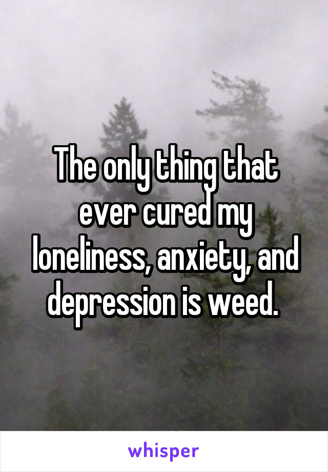 The only thing that ever cured my loneliness, anxiety, and depression is weed. 