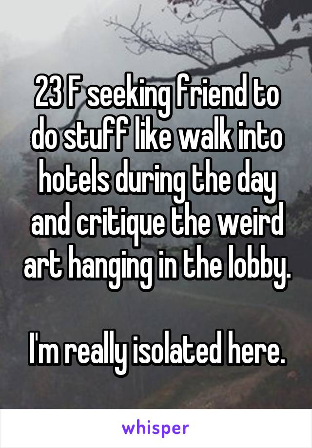 23 F seeking friend to do stuff like walk into hotels during the day and critique the weird art hanging in the lobby. 
I'm really isolated here.