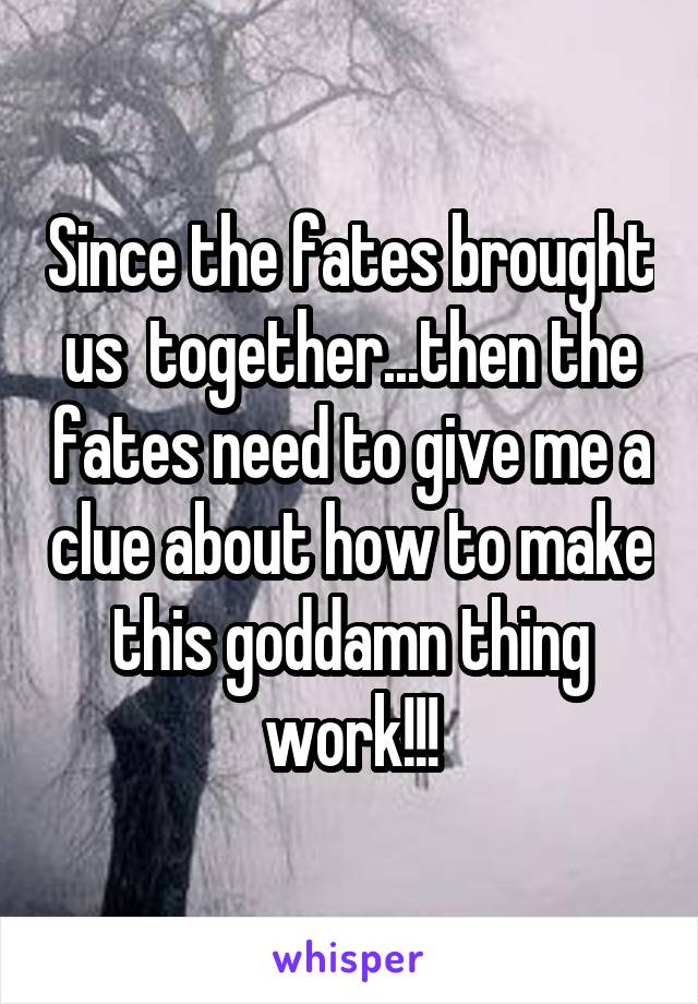 Since the fates brought us  together...then the fates need to give me a clue about how to make this goddamn thing work!!!