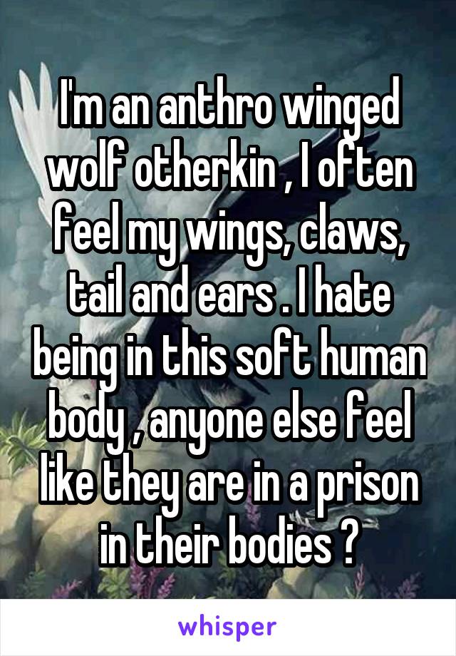 I'm an anthro winged wolf otherkin , I often feel my wings, claws, tail and ears . I hate being in this soft human body , anyone else feel like they are in a prison in their bodies ?