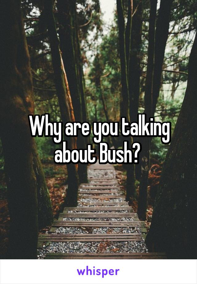 Why are you talking about Bush? 