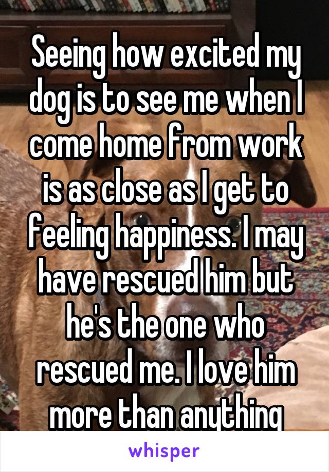 Seeing how excited my dog is to see me when I come home from work is as close as I get to feeling happiness. I may have rescued him but he's the one who rescued me. I love him more than anything