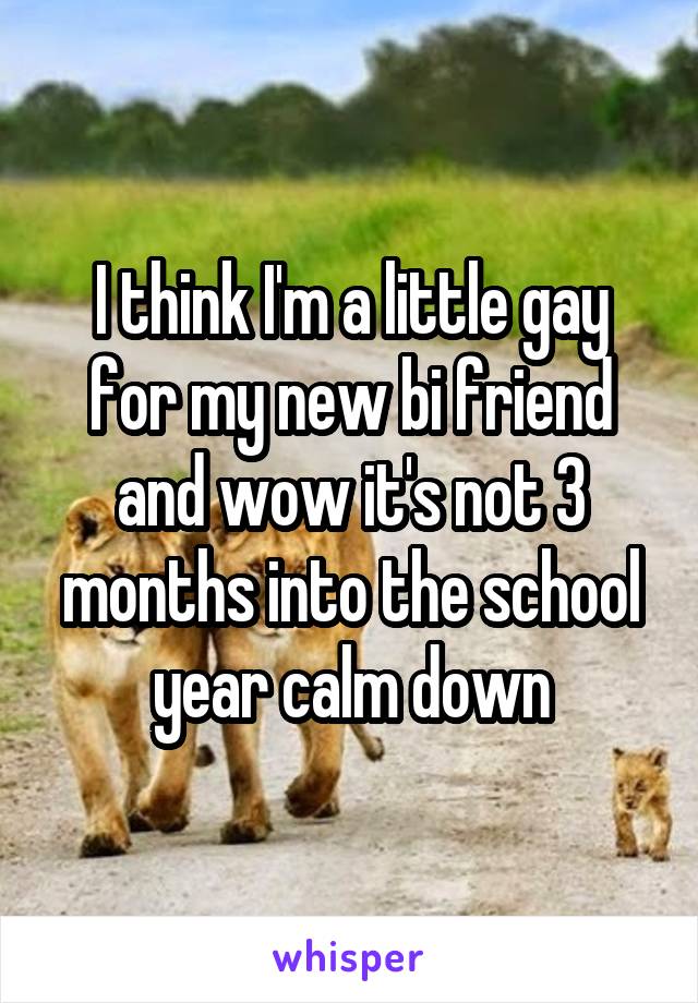 I think I'm a little gay for my new bi friend and wow it's not 3 months into the school year calm down