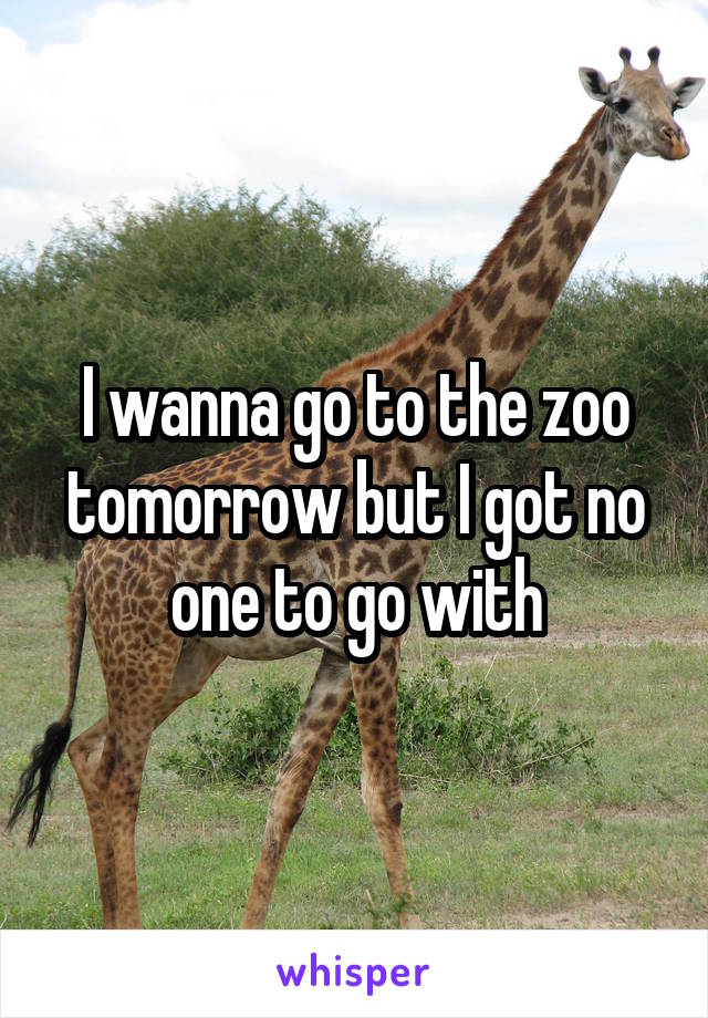 I wanna go to the zoo tomorrow but I got no one to go with