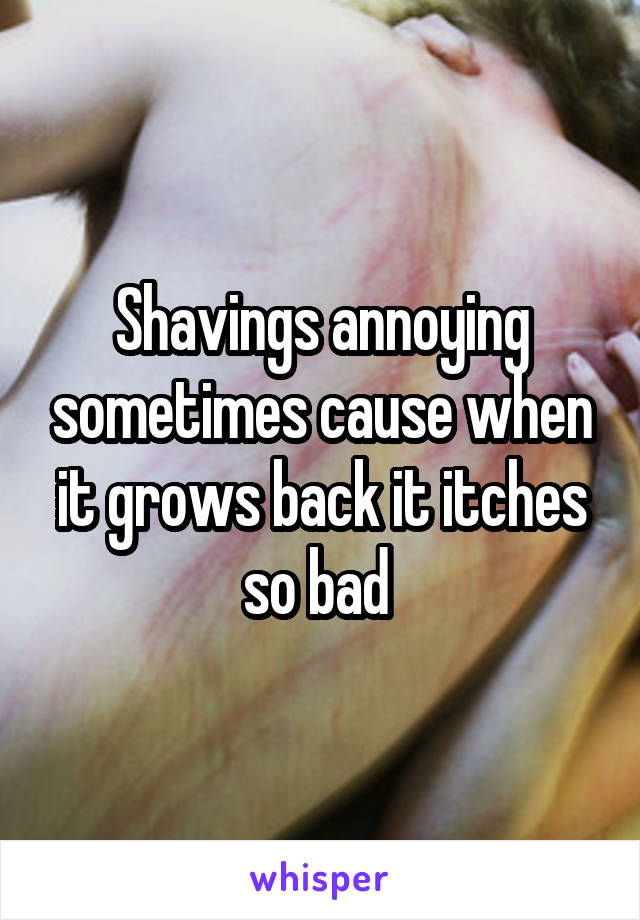 Shavings annoying sometimes cause when it grows back it itches so bad 