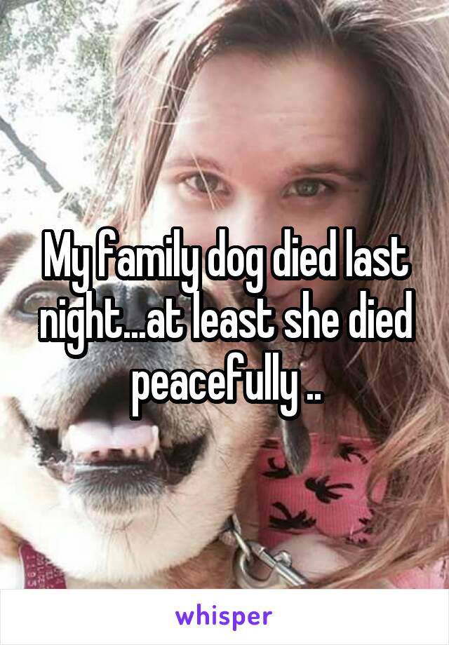 My family dog died last night...at least she died peacefully ..