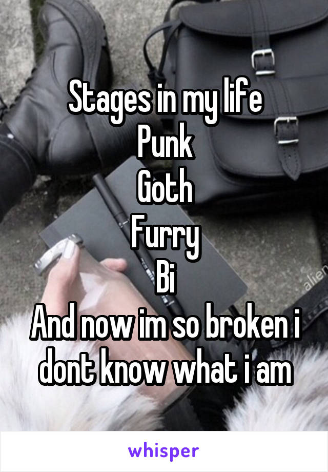 Stages in my life
Punk
Goth
Furry
Bi
And now im so broken i dont know what i am