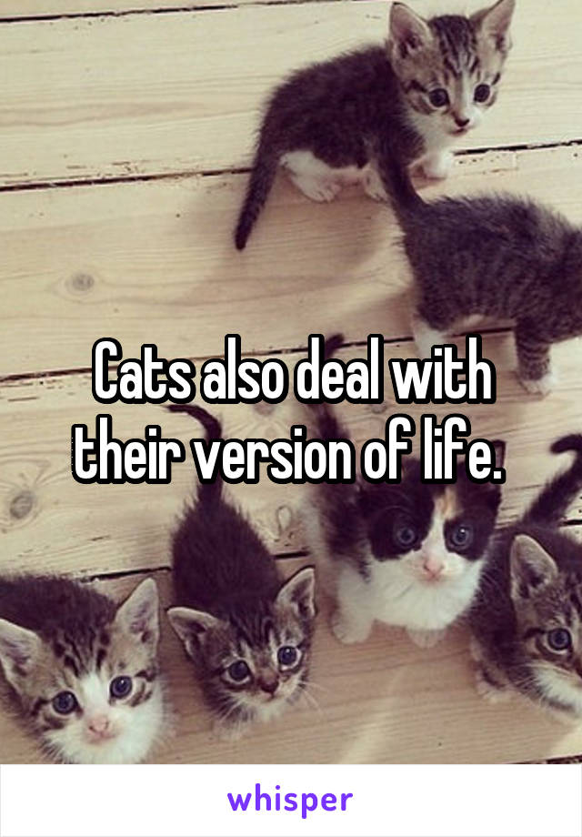 Cats also deal with their version of life. 