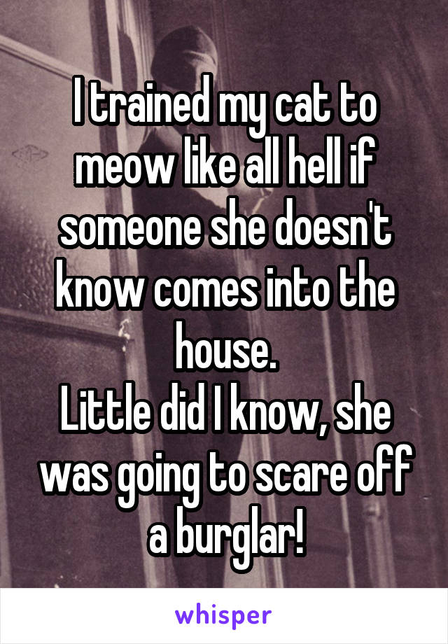 I trained my cat to meow like all hell if someone she doesn't know comes into the house.
Little did I know, she was going to scare off a burglar!