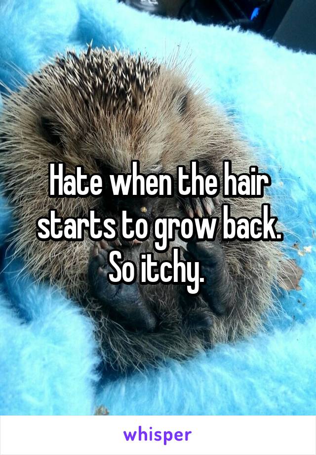 Hate when the hair starts to grow back. So itchy. 