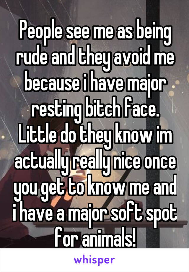 People see me as being rude and they avoid me because i have major resting bitch face.
Little do they know im actually really nice once you get to know me and i have a major soft spot for animals!