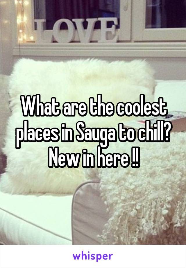 What are the coolest places in Sauga to chill? New in here !!