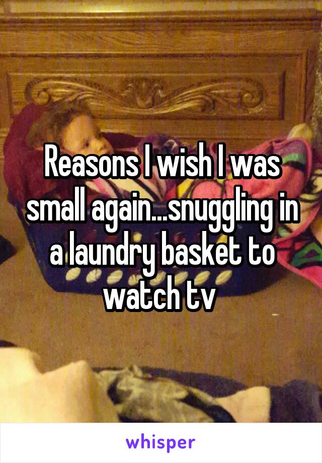 Reasons I wish I was small again...snuggling in a laundry basket to watch tv 