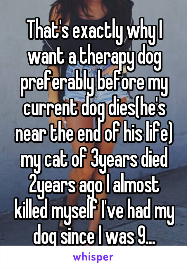 That's exactly why I want a therapy dog preferably before my current dog dies(he's near the end of his life) my cat of 3years died 2years ago I almost killed myself I've had my dog since I was 9...