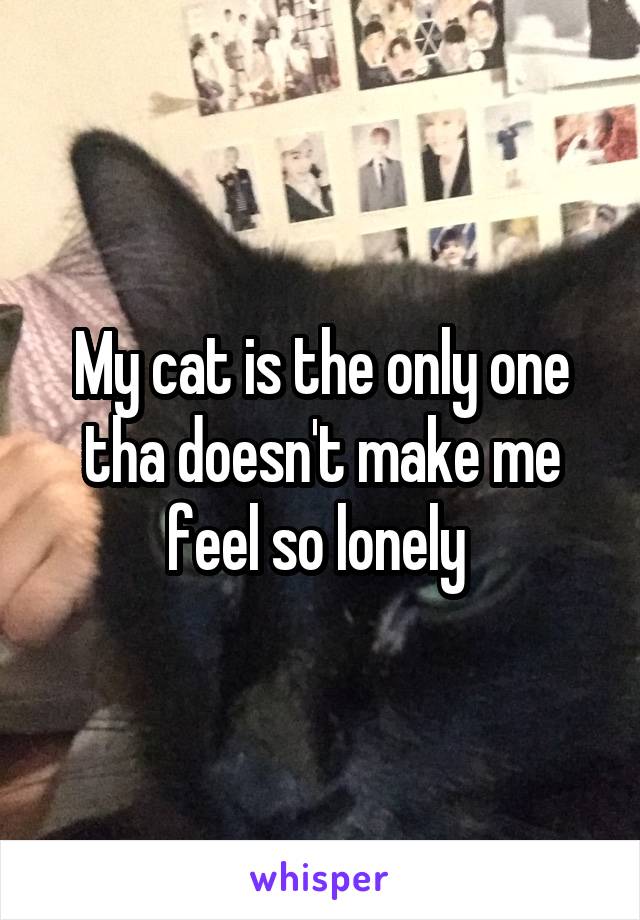 My cat is the only one tha doesn't make me feel so lonely 