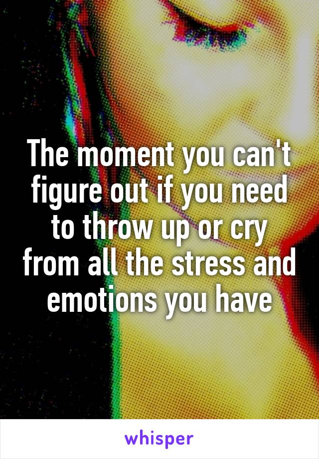 The moment you can't figure out if you need to throw up or cry from all the stress and emotions you have