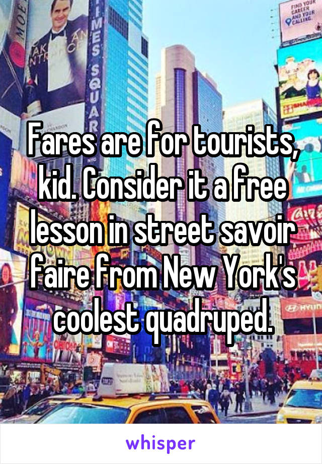 Fares are for tourists, kid. Consider it a free lesson in street savoir faire from New York's coolest quadruped.