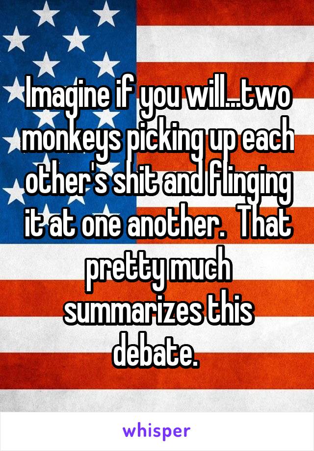 Imagine if you will...two monkeys picking up each other's shit and flinging it at one another.  That pretty much summarizes this debate. 